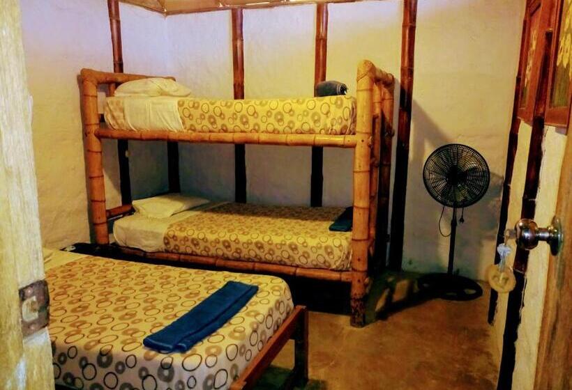 بانگلوی استاندارد, Guacamayo Bed & Breakfast