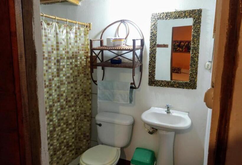 اتاق سوپریور, Guacamayo Bed & Breakfast