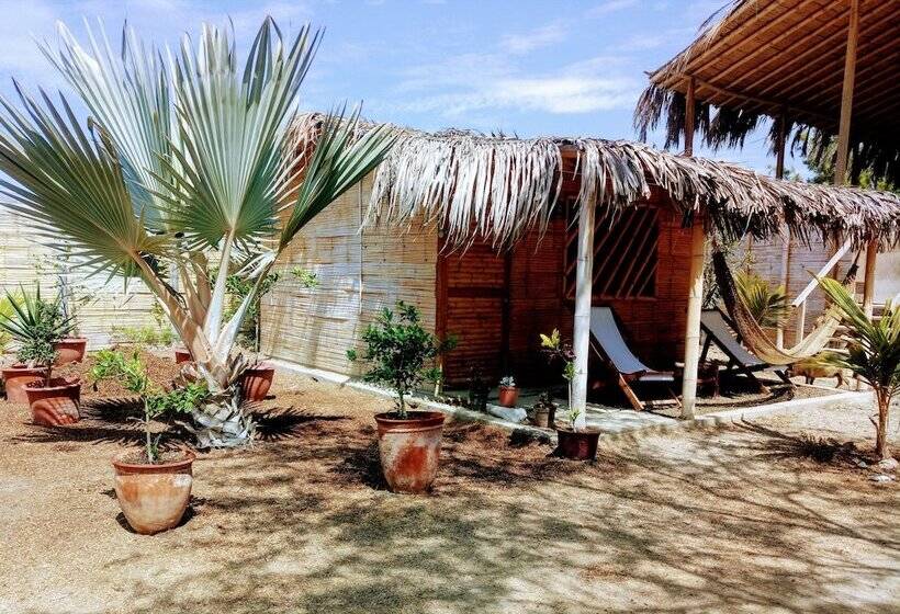 اتاق استاندارد, Guacamayo Bed & Breakfast