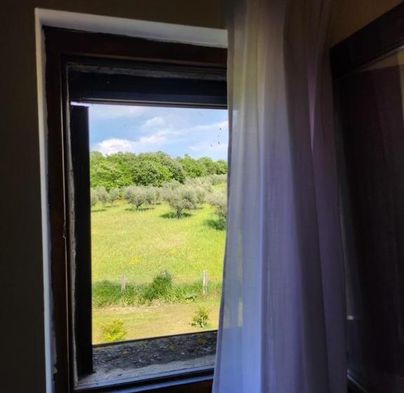 Номер Стандарт, Villa Arzilla Antica Residenza Di Campagna