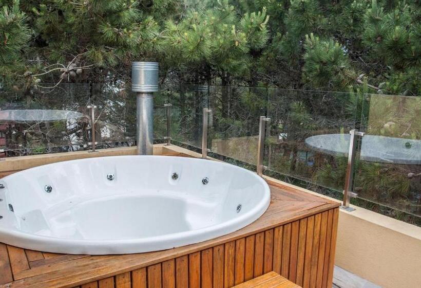 Апартаменты Deluxe 2 Спальни, Terrazas Del Bosque Aparts