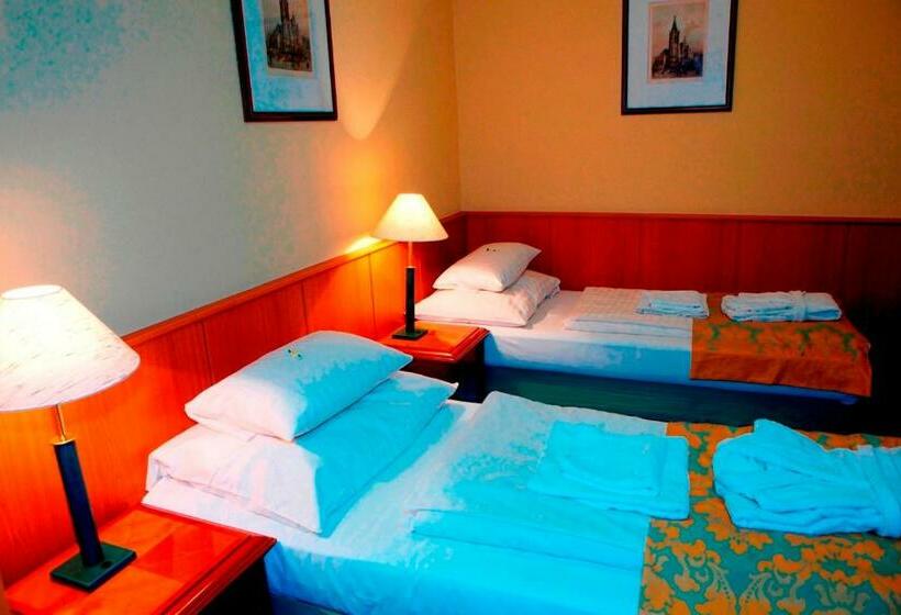 标准间, Nyerges Hotel Termál Superior