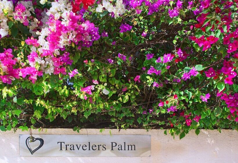 סוויטה, Travelers Palm