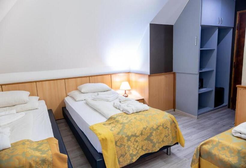 标准三人间, Nyerges Hotel Termál Superior