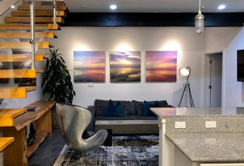 低层单卧公寓, Petaluma Warehouse Lofts Unit C
