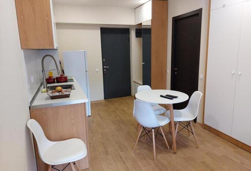 آپارتمان 1 خوابه با چشم‌انداز, Bakuriani Inn Apartment #13