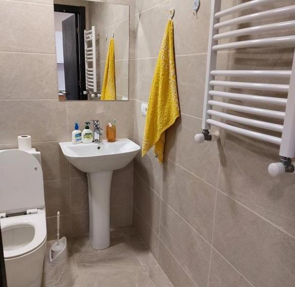 آپارتمان 1 خوابه با چشم‌انداز, Bakuriani Inn Apartment #13