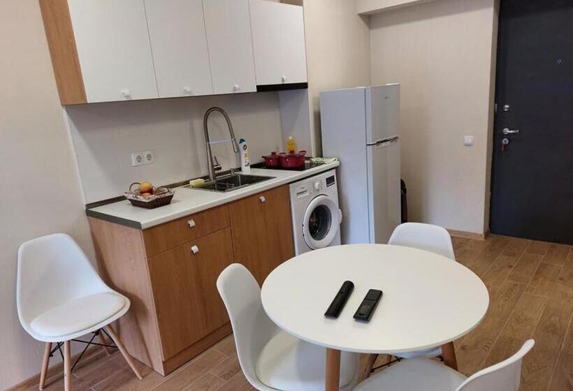 آپارتمان 1 خوابه با چشم‌انداز, Bakuriani Inn Apartment #13