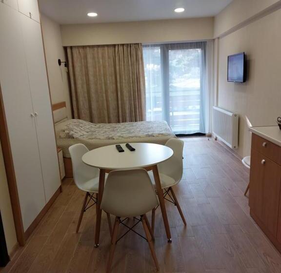 آپارتمان 1 خوابه با چشم‌انداز, Bakuriani Inn Apartment #13