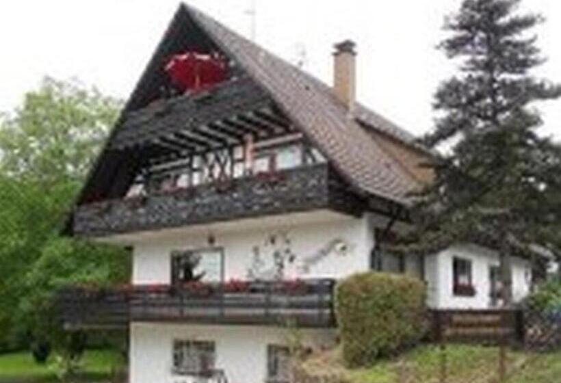 스탠다드 싱글 룸, Pension Haus Monika