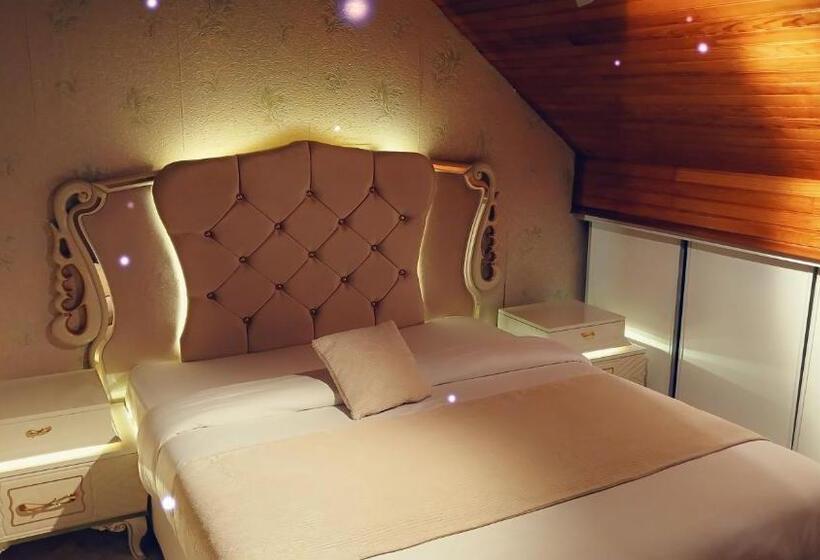 Семейный Полулюкс, Paradis Chambres D Hôtes Proche Paris   Aéroport Charles De Gaulle Airport   Parc Des Exposition Vil