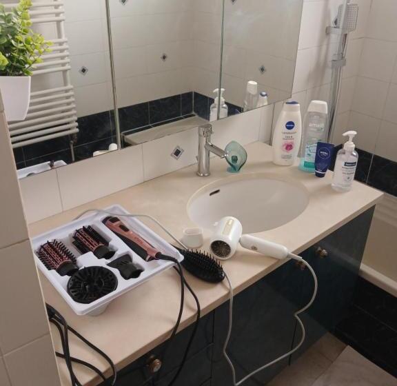 Номер Deluxe, Paradis Chambres D Hôtes Proche Paris   Aéroport Charles De Gaulle Airport   Parc Des Exposition Vil