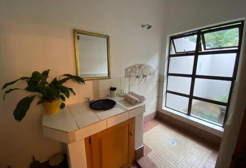 اتاق کلاسیک, Ambience Inn