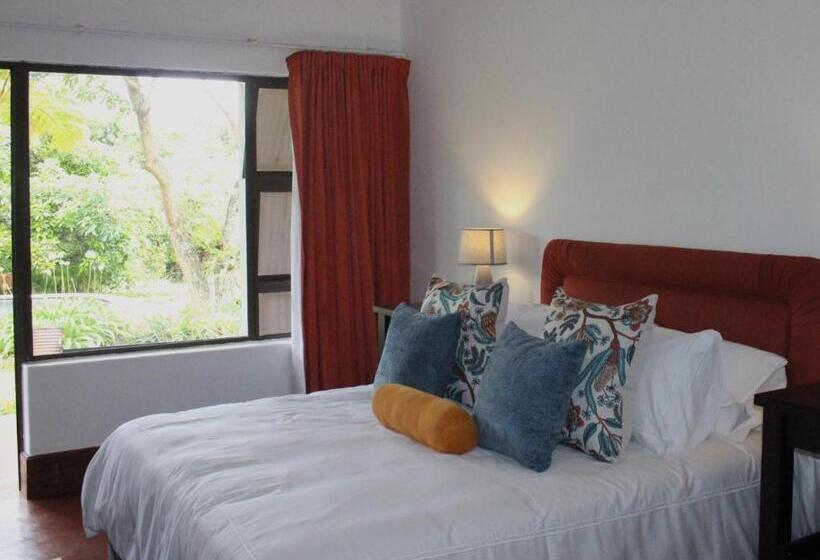 اتاق کلاسیک, Ambience Inn