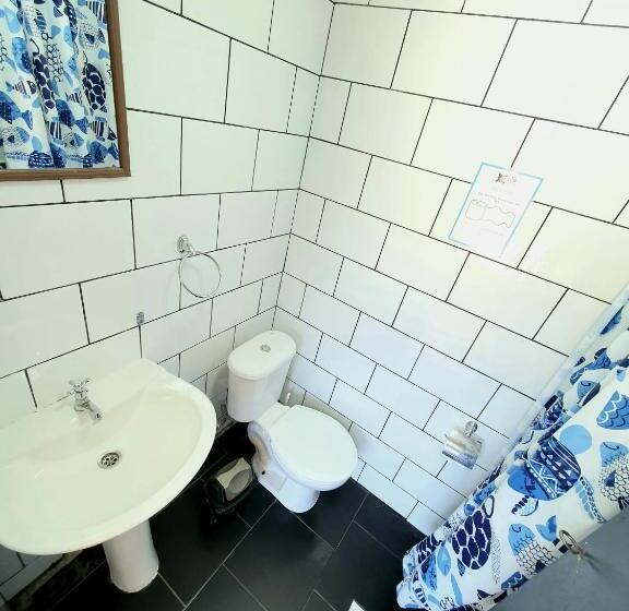 Кровать в Общей Комнате, Löf Hostal