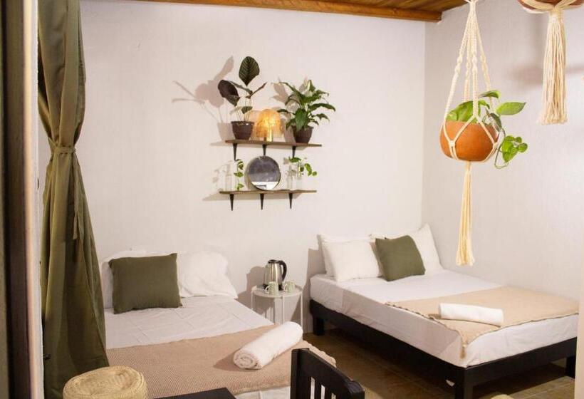 اتاق کلاسیک چهارنفره, Casa Niita