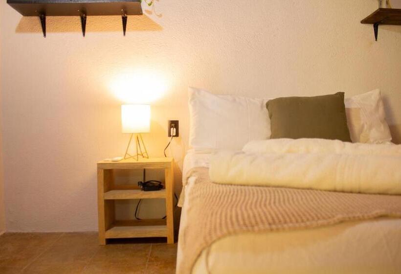 اتاق استاندارد, Casa Niita