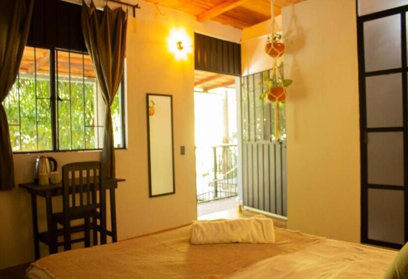 اتاق استاندارد, Casa Niita
