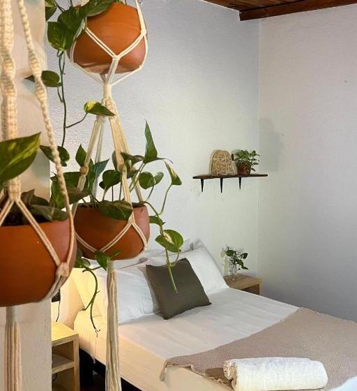 اتاق استاندارد, Casa Niita