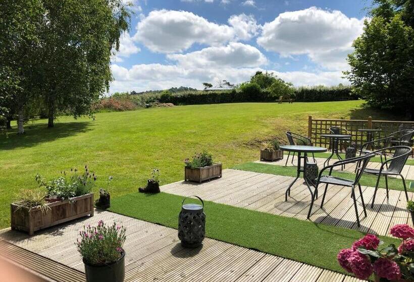 Номер Стандарт с Террасой, Offa S Dyke Lodge B&b