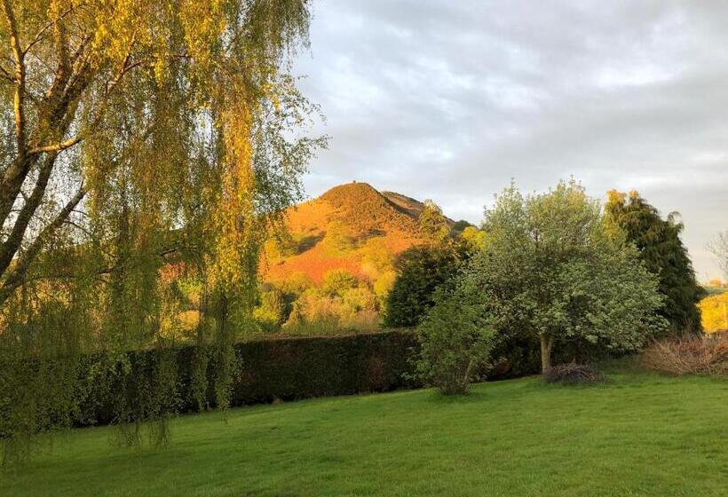 Номер Стандарт Вид на Горы, Offa S Dyke Lodge B&b