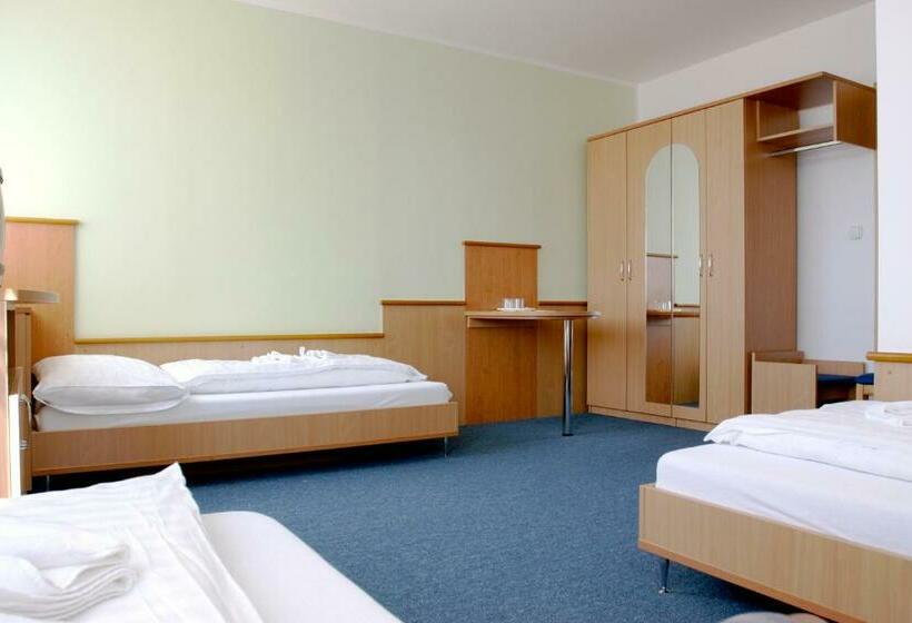 اتاق استاندارد سه نفره, Garni G Hotel žilina