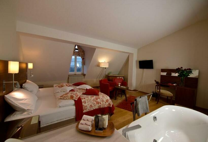 Номер Deluxe, Pałac Pakoszów Schlosshotel Wernersdorf