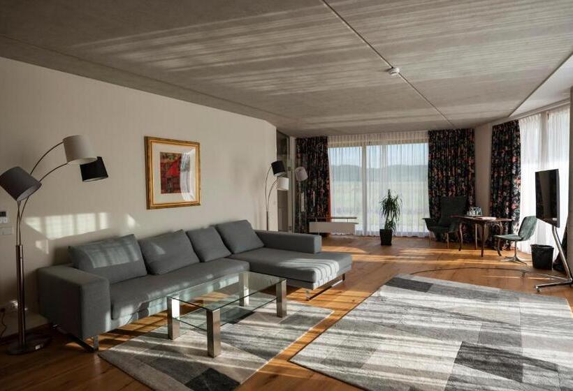 Апартаменты Пентхаус 1 Спальня, Pałac Pakoszów Schlosshotel Wernersdorf