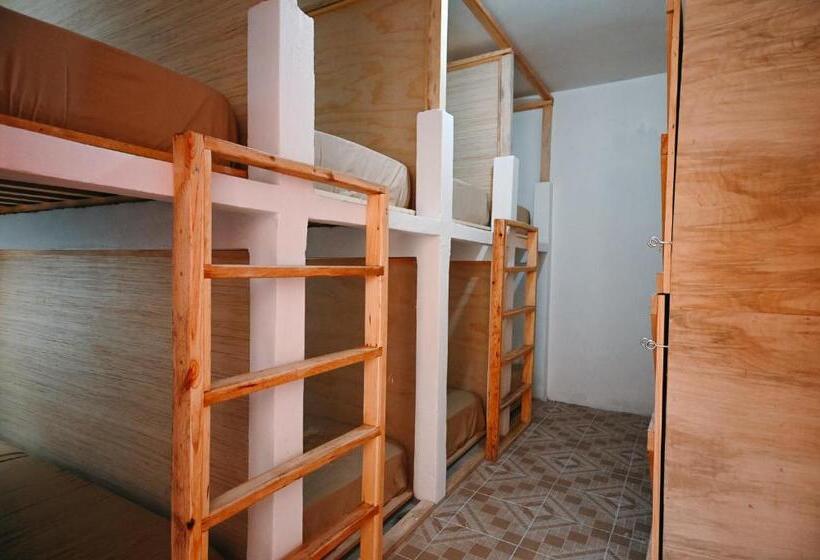 تختخواب در اتاق مشترک, Maka Hostel