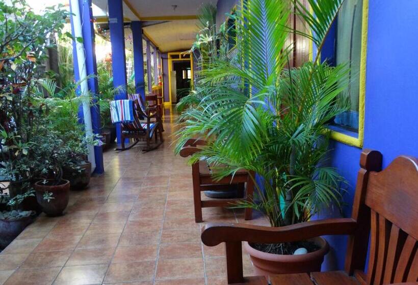 اتاق استاندارد, Casa Romano Hostel