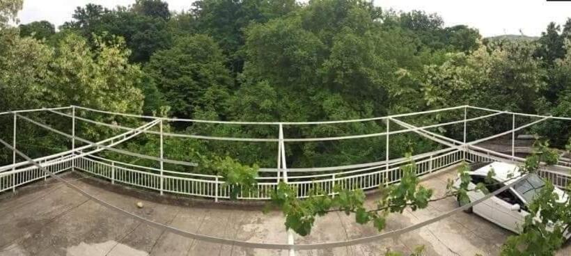 اتاق استاندارد, House In The Nature