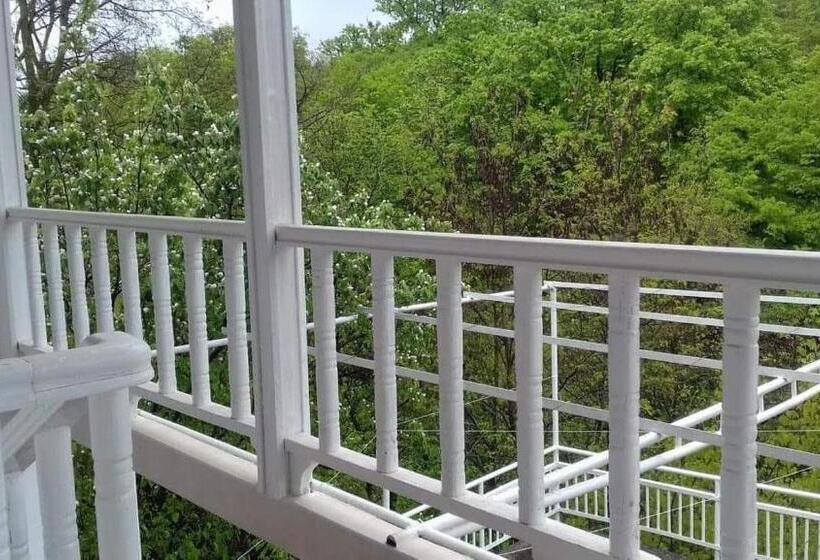 اتاق استاندارد, House In The Nature