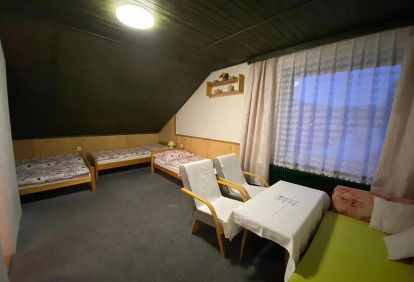 4인용 스탠다드 룸, Pension Krupka 443   Ski Herlikovice A Bubákov