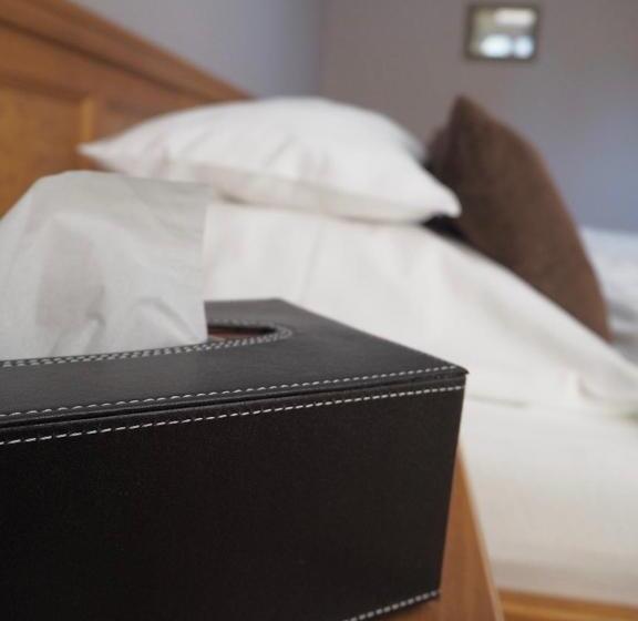 Номер Deluxe, Penzion Valtice