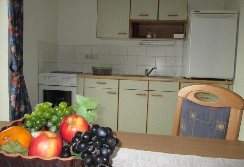 Апартаменты 1 Спальня, Pension Florian Am Park