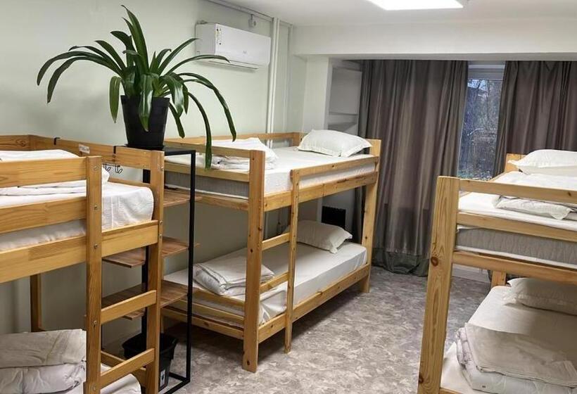 تختخواب در اتاق مشترک, Hostel