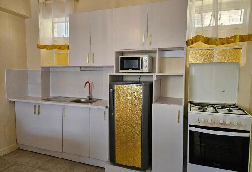 استودیوی استاندارد, Airport Studio Apartments Jkia