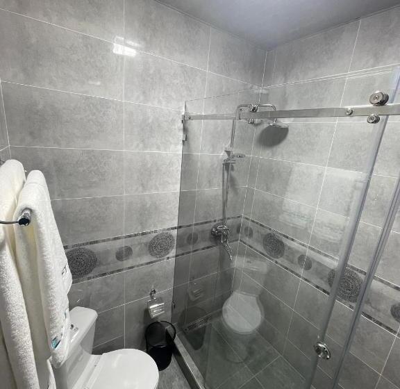 اتاق سوپریور, Loft