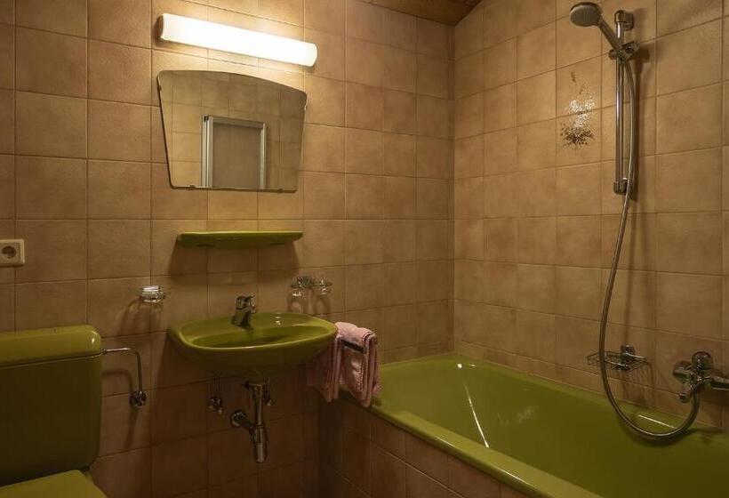 Номер Стандарт, Gästehaus Almhof