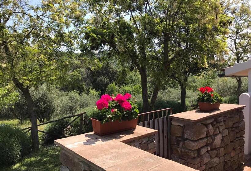 Дом 1 Спальня, Tenuta Le Mandorlaie, Agriturismo In Scansano