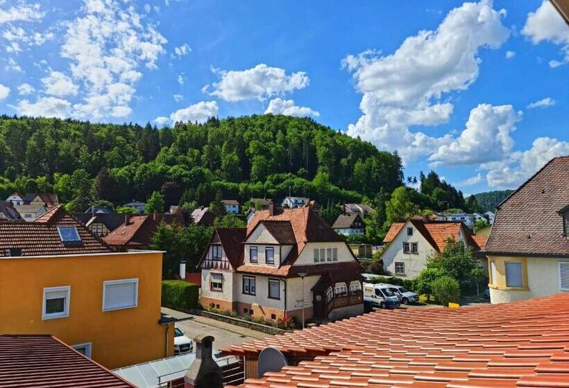 غرفة عائلية مطلّة علي الجبل, Pension Transilvania