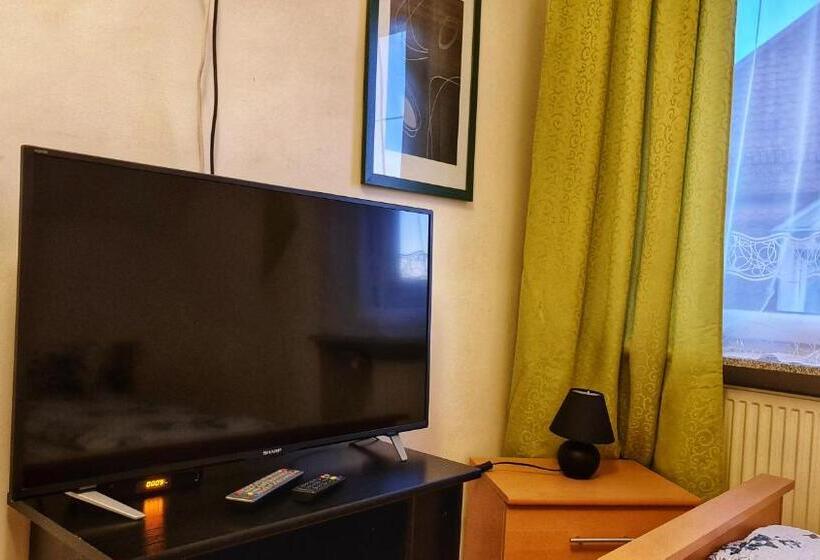 غرفة عائلية مطلّة علي الجبل, Pension Transilvania
