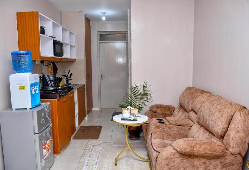 اتاق اکونومی, Jojovial Homes