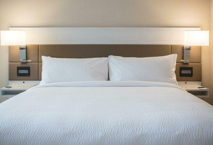 스탠다드 룸 킹사이즈 침대, Ac Hotel By Marriott San Jose Downtown