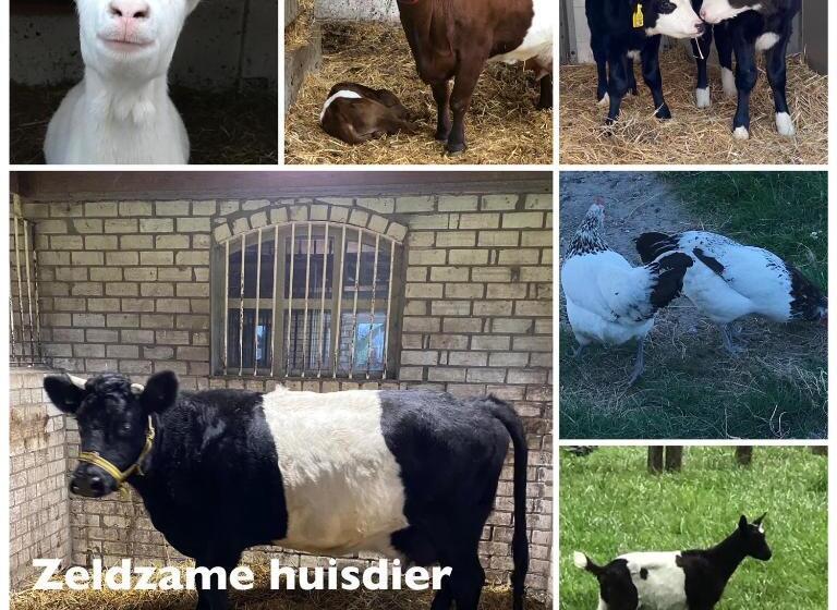 침실 1개 주택, Herberg Boerderij De Straat Hof