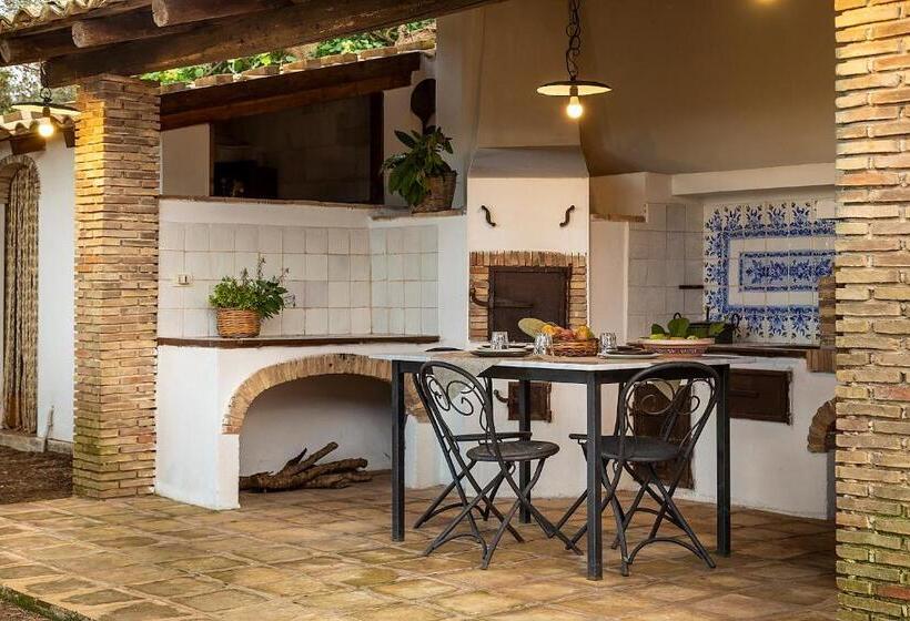 اتاق استاندارد با تراس, Villa Maria Affittacamere