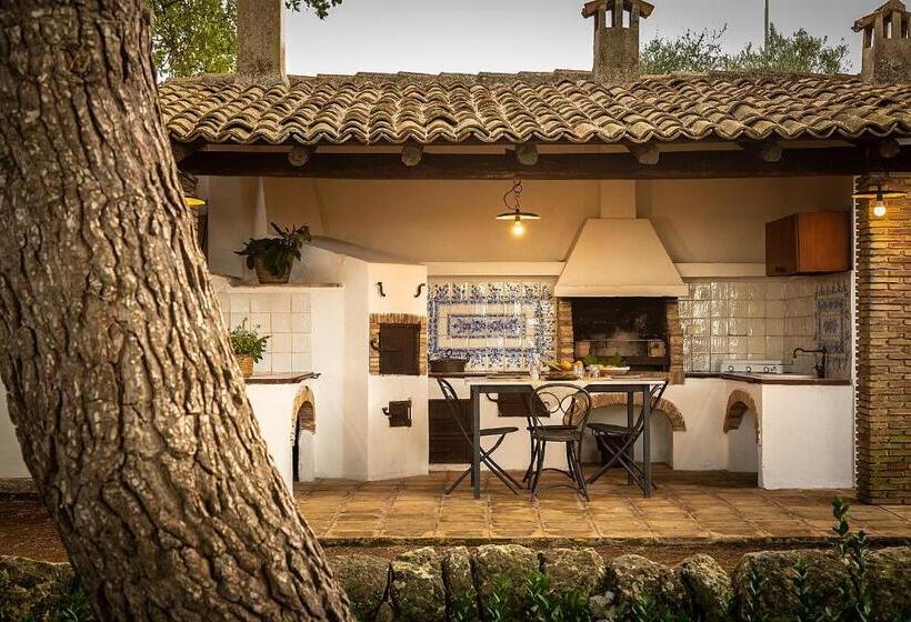 اتاق استاندارد با تراس, Villa Maria Affittacamere
