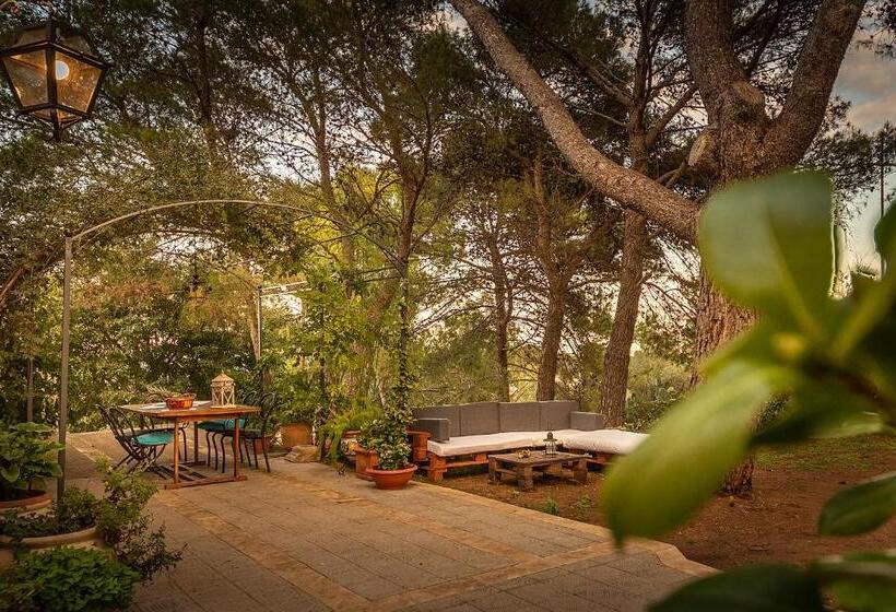 اتاق استاندارد با تراس, Villa Maria Affittacamere