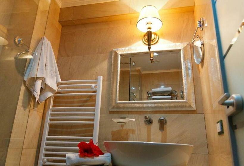 Номер Стандарт, Roman By Dumbrava Business Resort