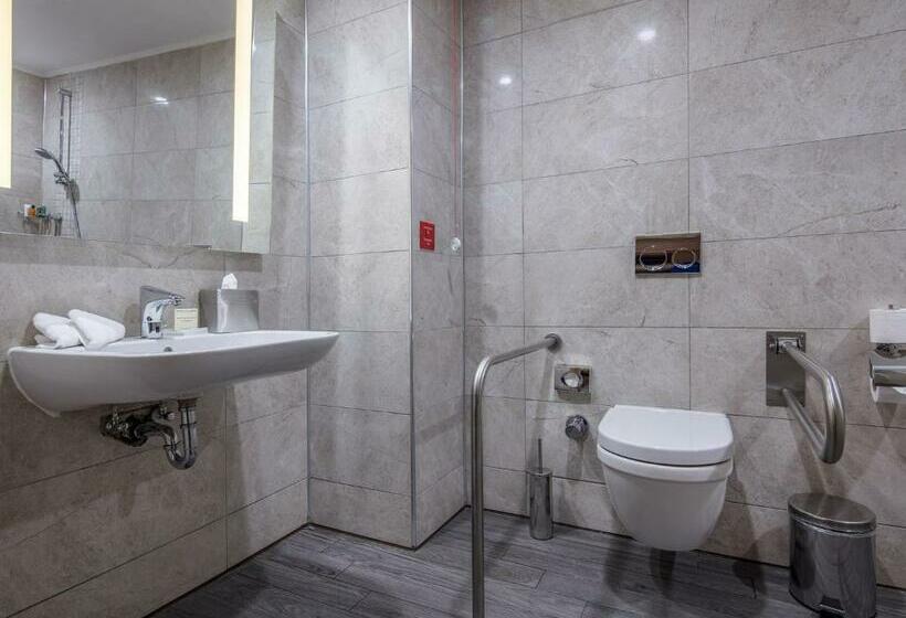 Номер Стандарт Кровать Кинг Адаптированный для Инвалидов, Hilton Garden Inn Safranbolu